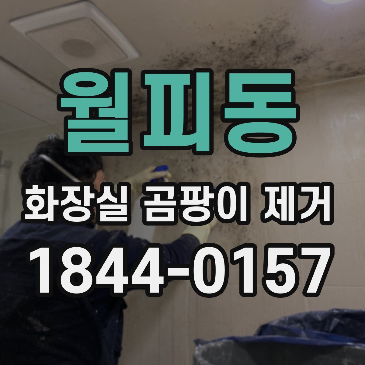 월피동 화장실 곰팡이 제거