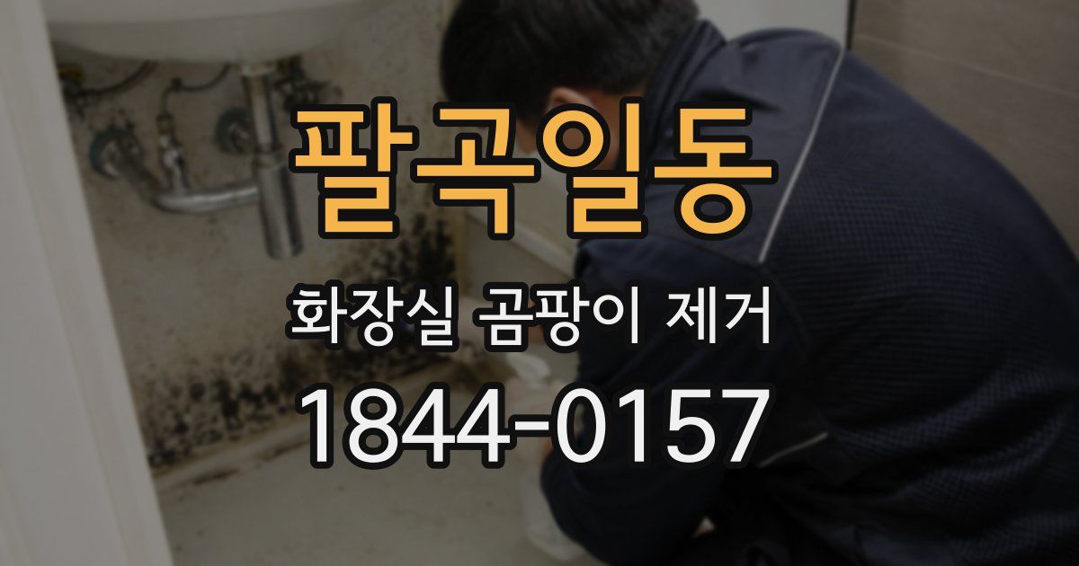 팔곡일동 화장실 곰팡이 제거