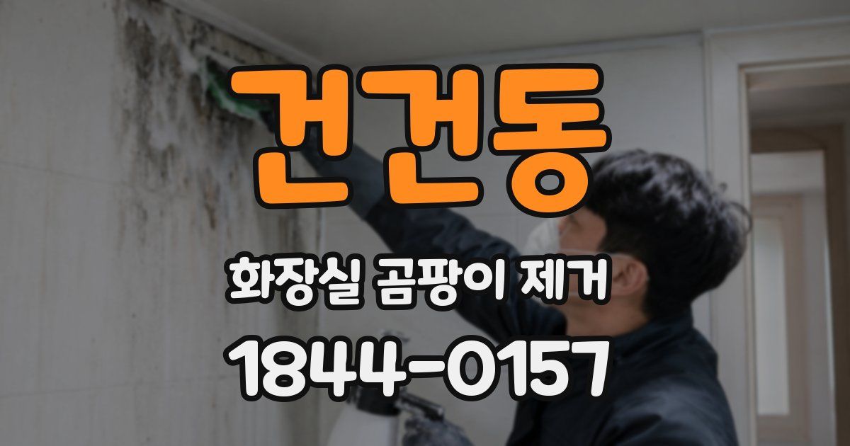 건건동 화장실 곰팡이 제거