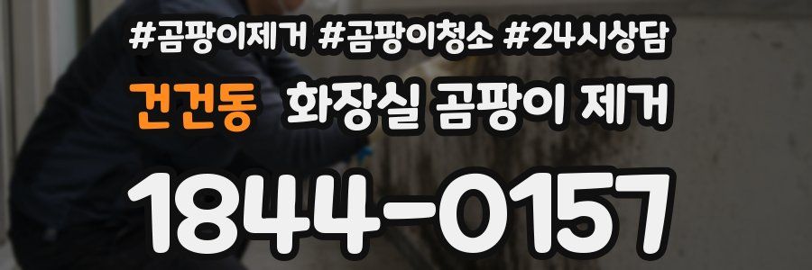 건건동 화장실 곰팡이 제거