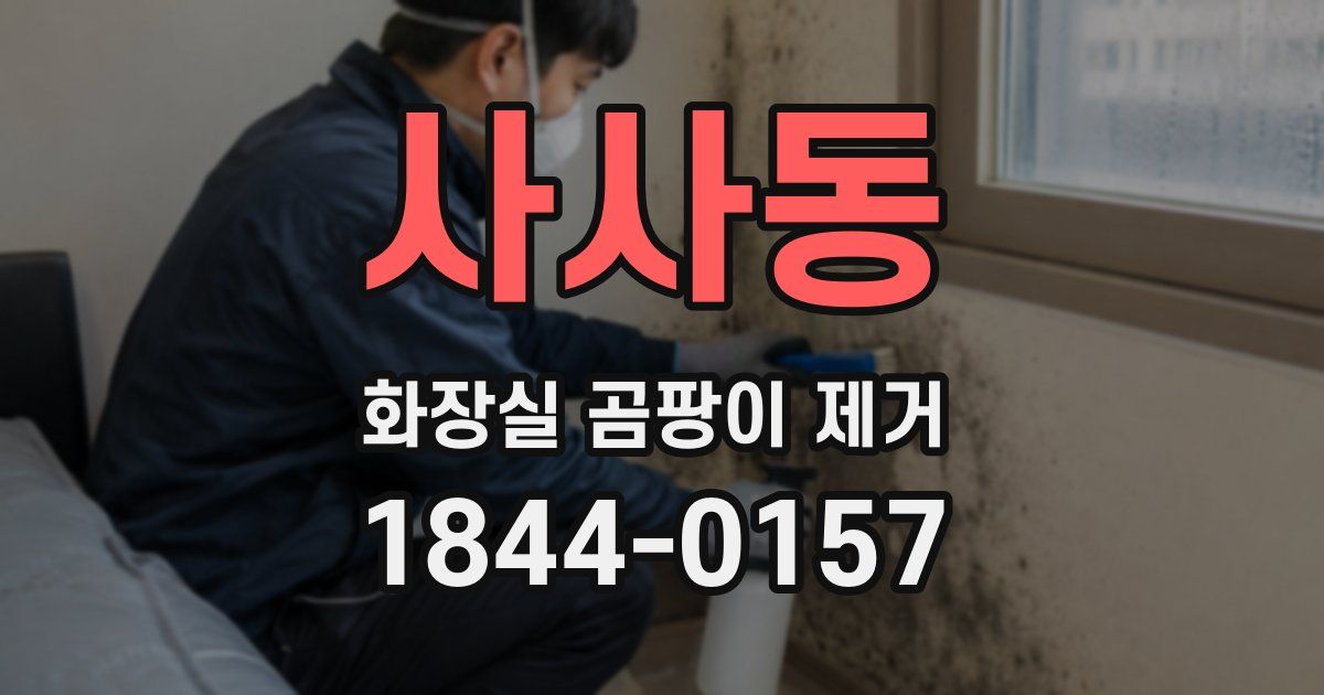사사동 화장실 곰팡이 제거