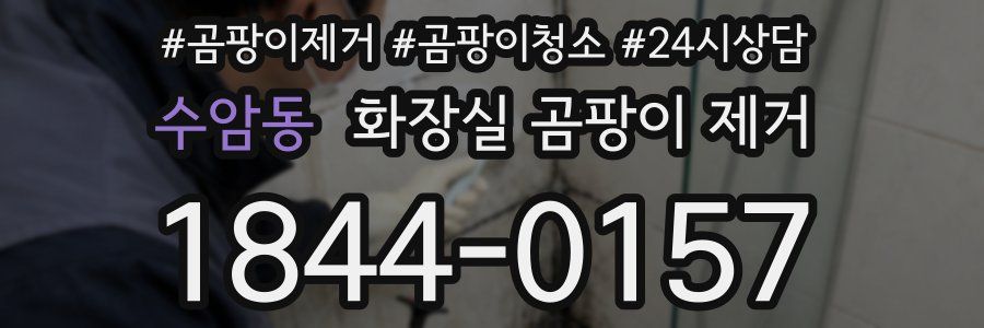 수암동 화장실 곰팡이 제거