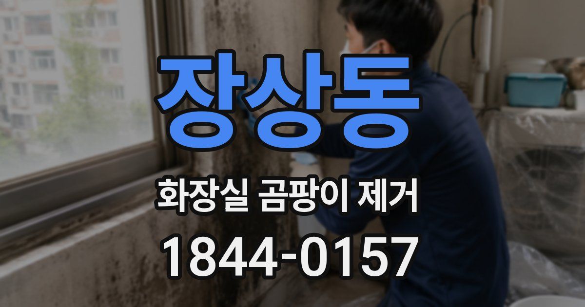 장상동 화장실 곰팡이 제거