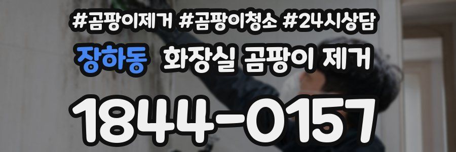 장하동 화장실 곰팡이 제거