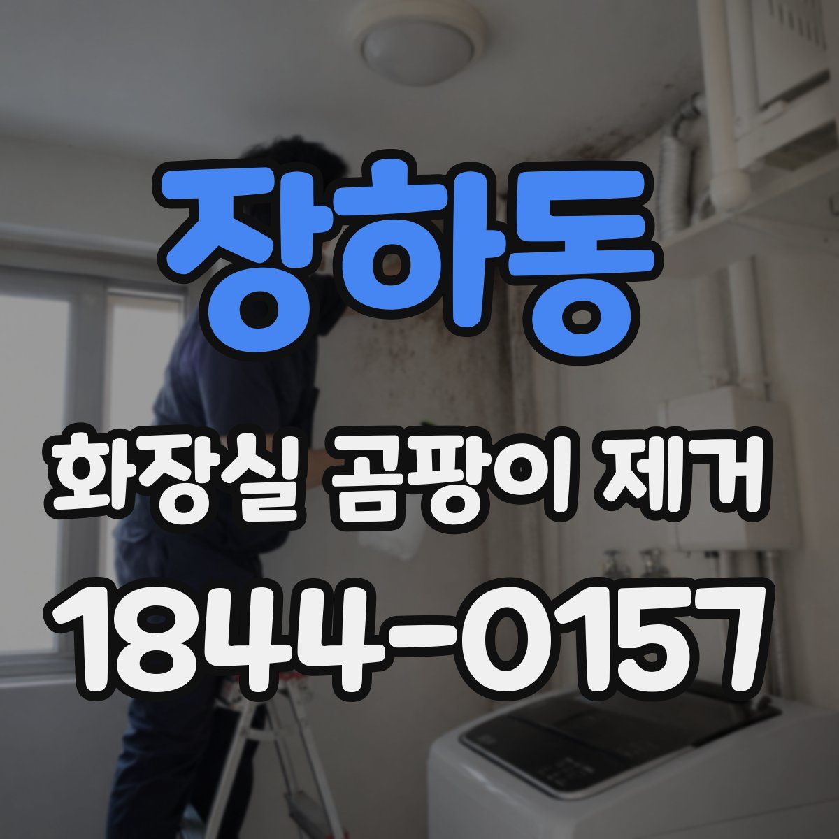 장하동 화장실 곰팡이 제거