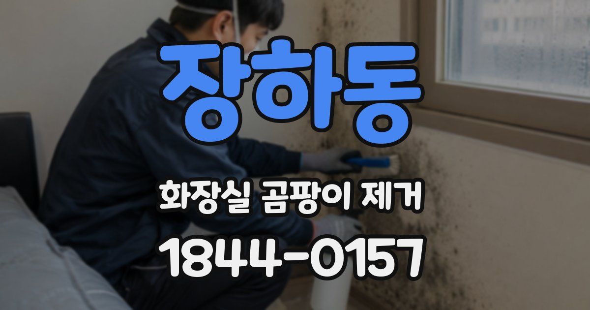 장하동 화장실 곰팡이 제거