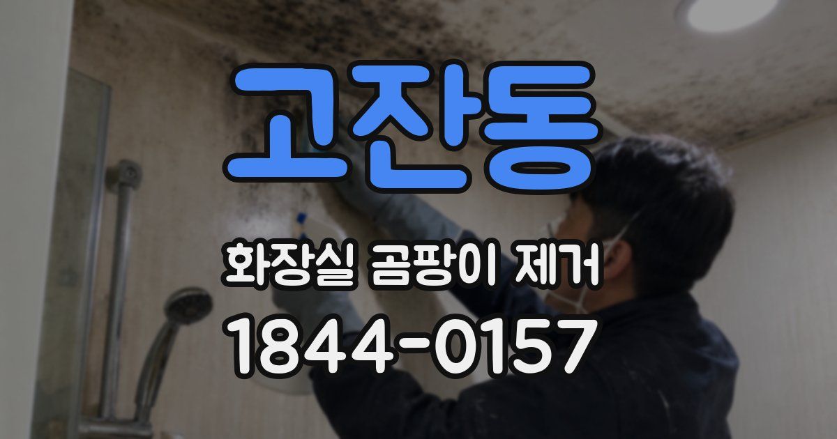 고잔동 화장실 곰팡이 제거