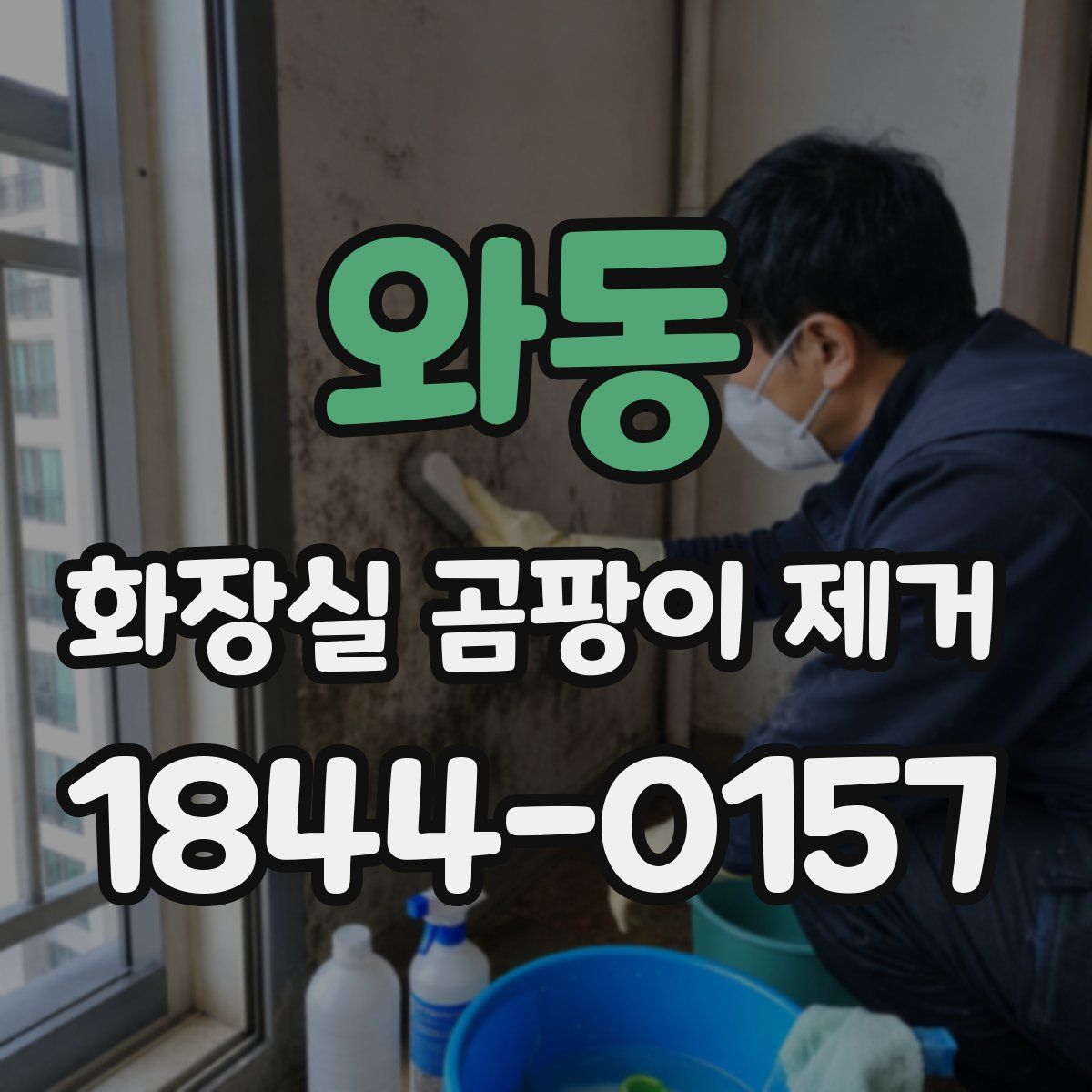 와동 화장실 곰팡이 제거