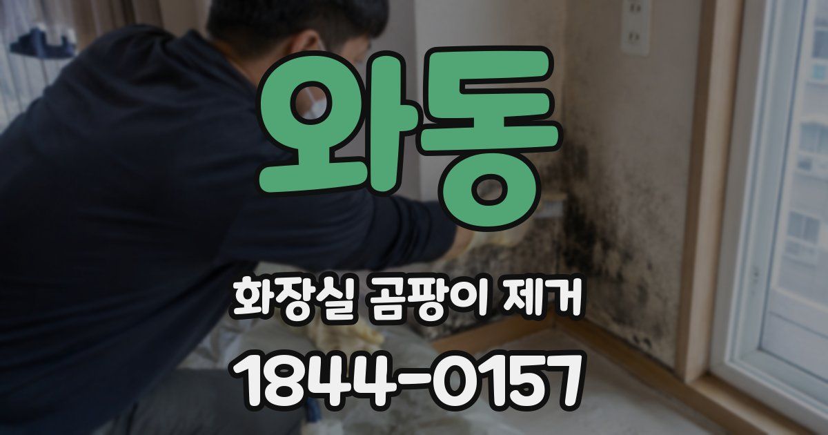 와동 화장실 곰팡이 제거
