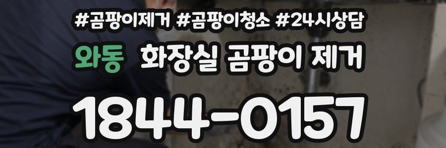 와동 화장실 곰팡이 제거