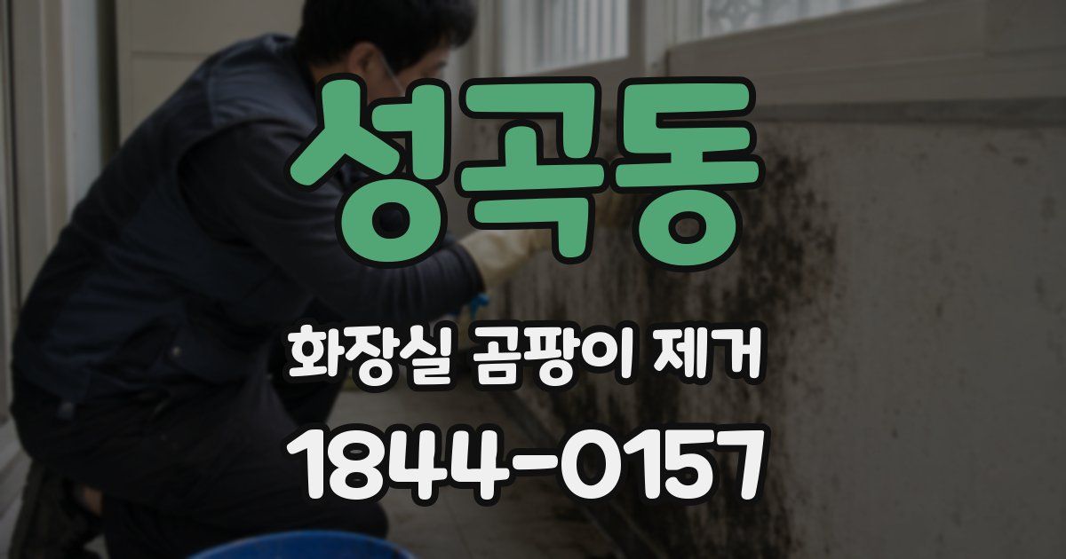 성곡동 화장실 곰팡이 제거