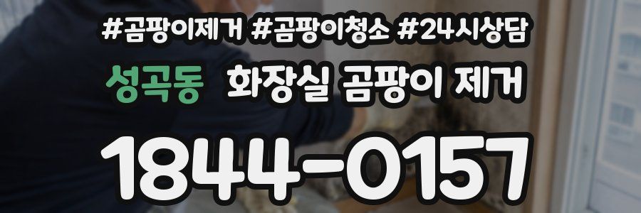 성곡동 화장실 곰팡이 제거