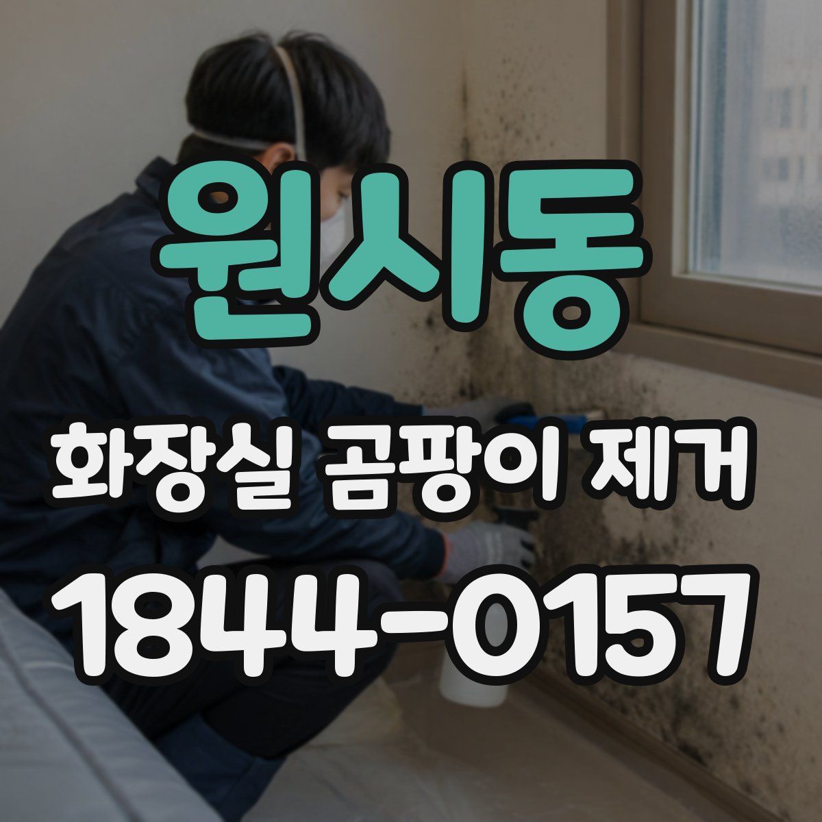 원시동 화장실 곰팡이 제거