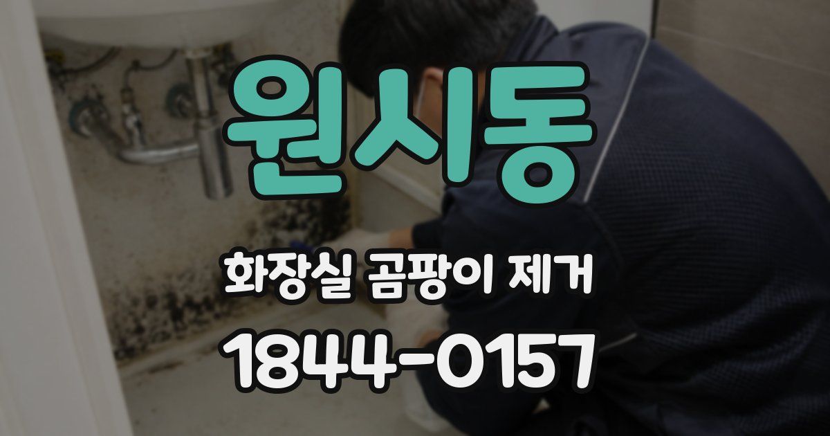 원시동 화장실 곰팡이 제거