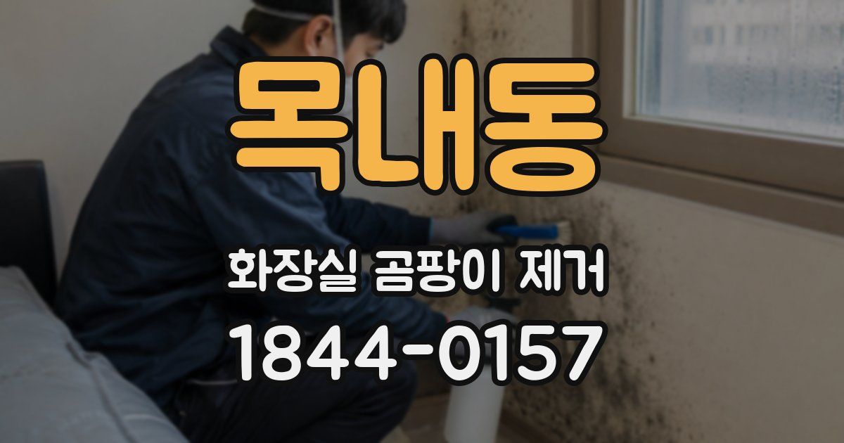 목내동 화장실 곰팡이 제거