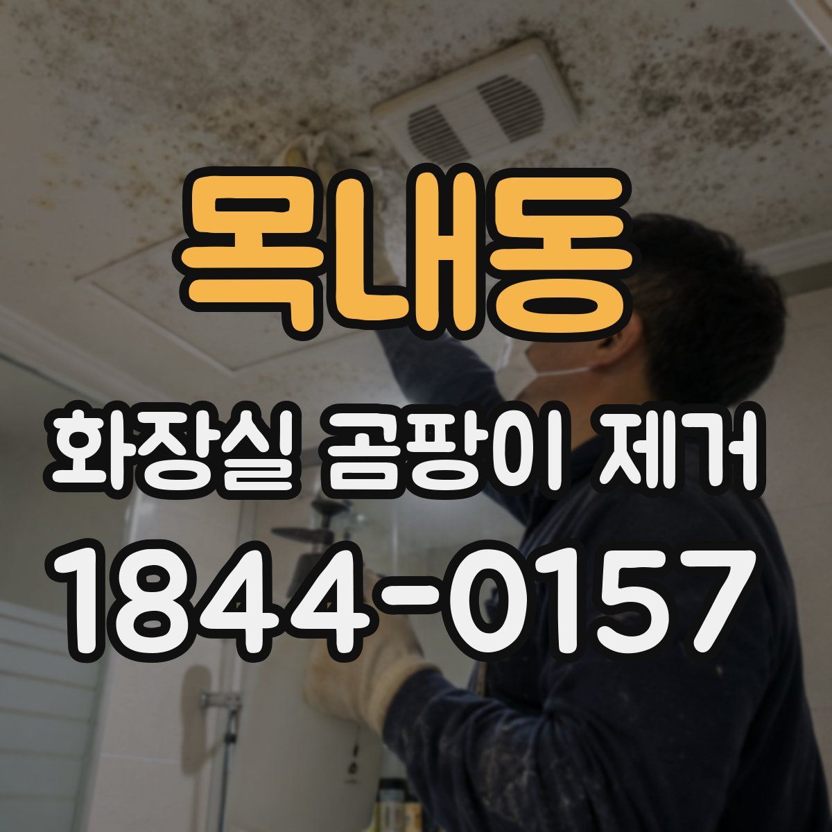 목내동 화장실 곰팡이 제거