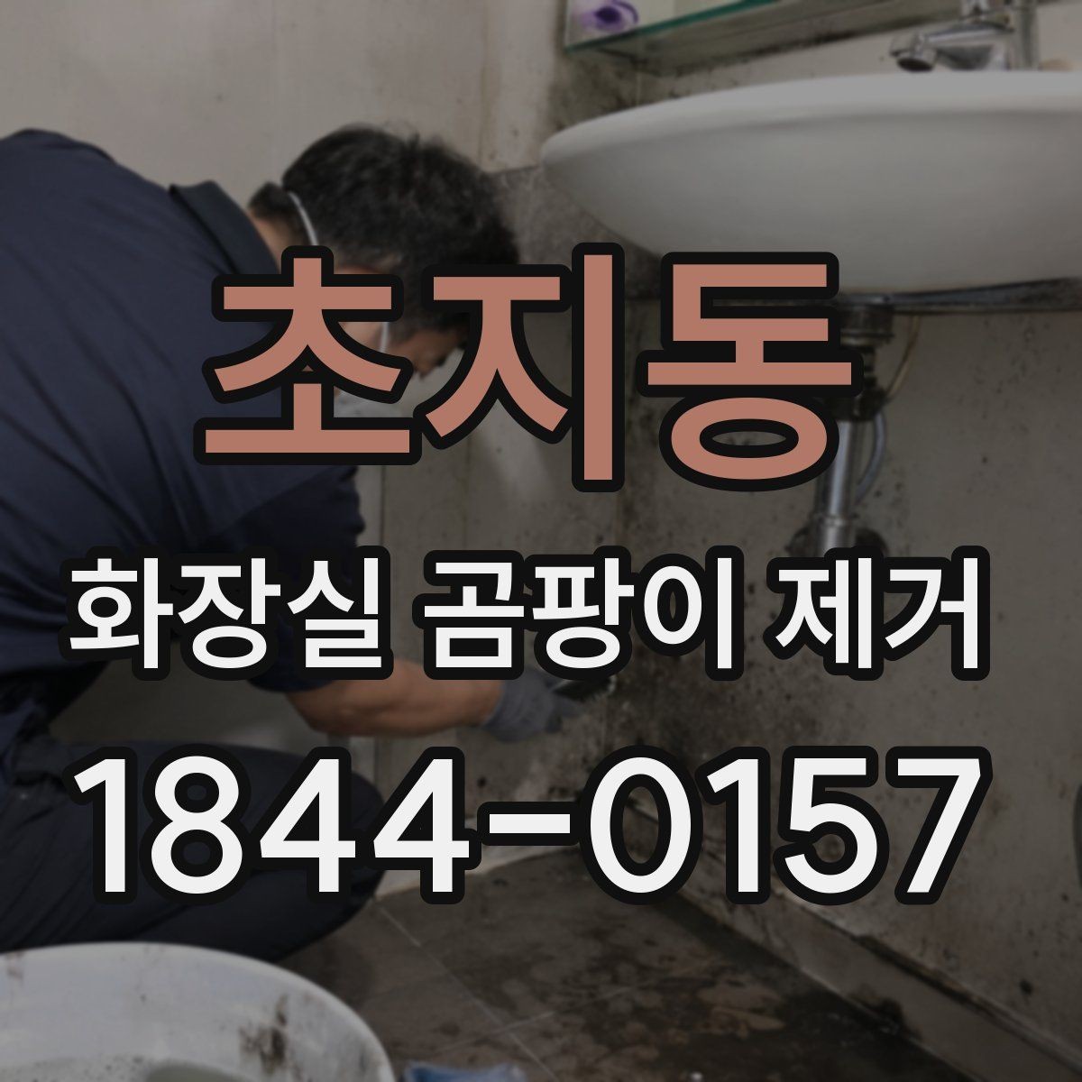 초지동 화장실 곰팡이 제거 배수구 냄새와 곰팡이 함께 관리하는 방법