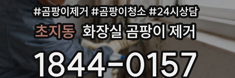 초지동 화장실 곰팡이 제거