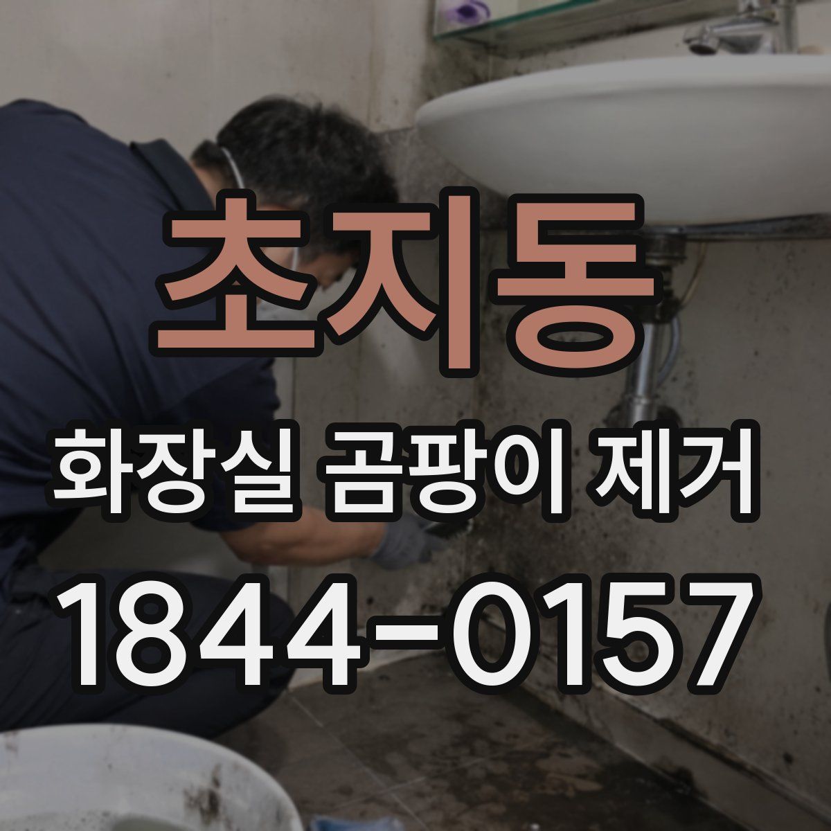 초지동 화장실 곰팡이 제거