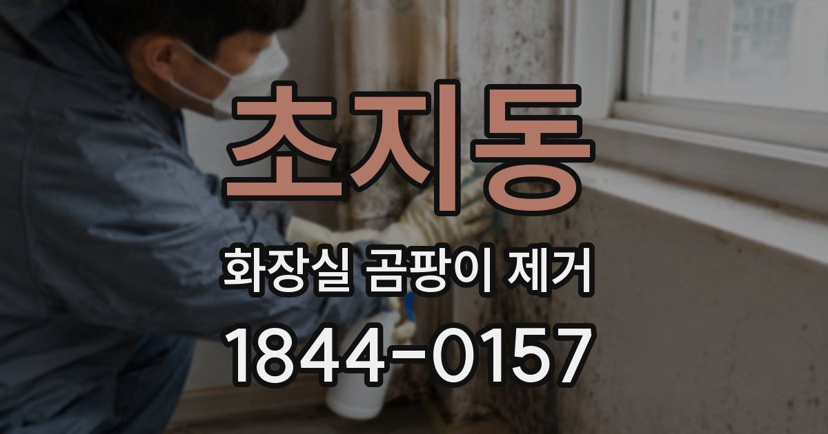 초지동 화장실 곰팡이 제거