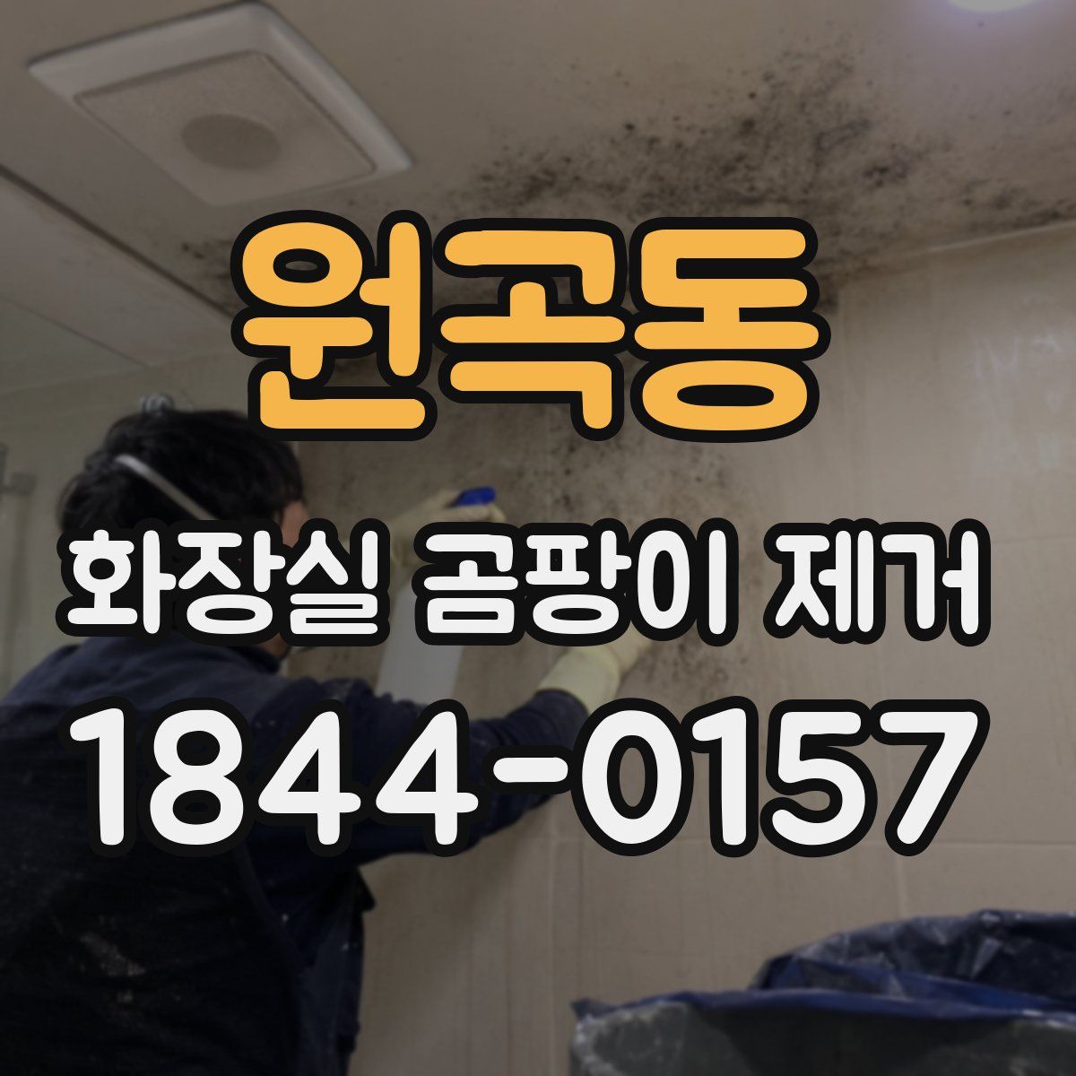 원곡동 화장실 곰팡이 제거