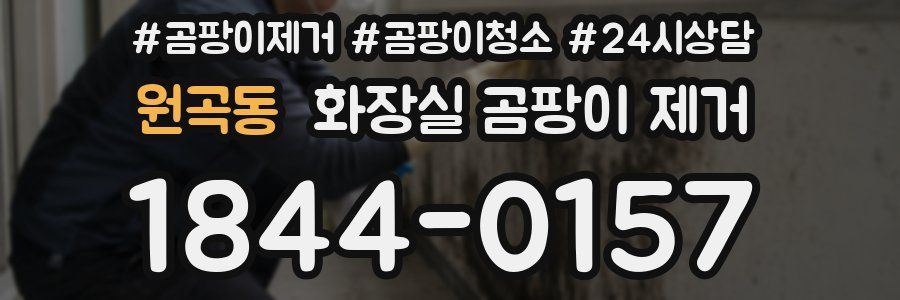 원곡동 화장실 곰팡이 제거