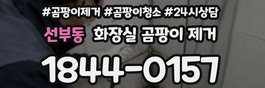 선부동 화장실 곰팡이 제거