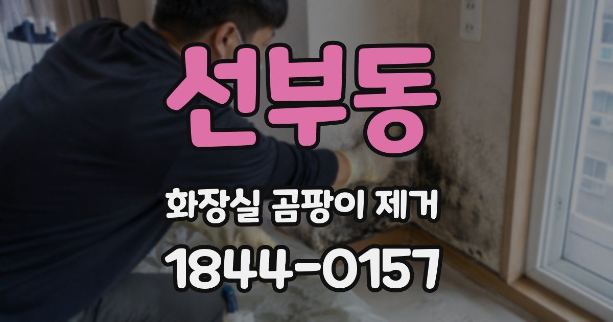 선부동 화장실 곰팡이 제거