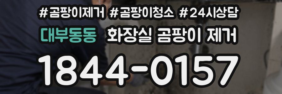 대부동동 화장실 곰팡이 제거
