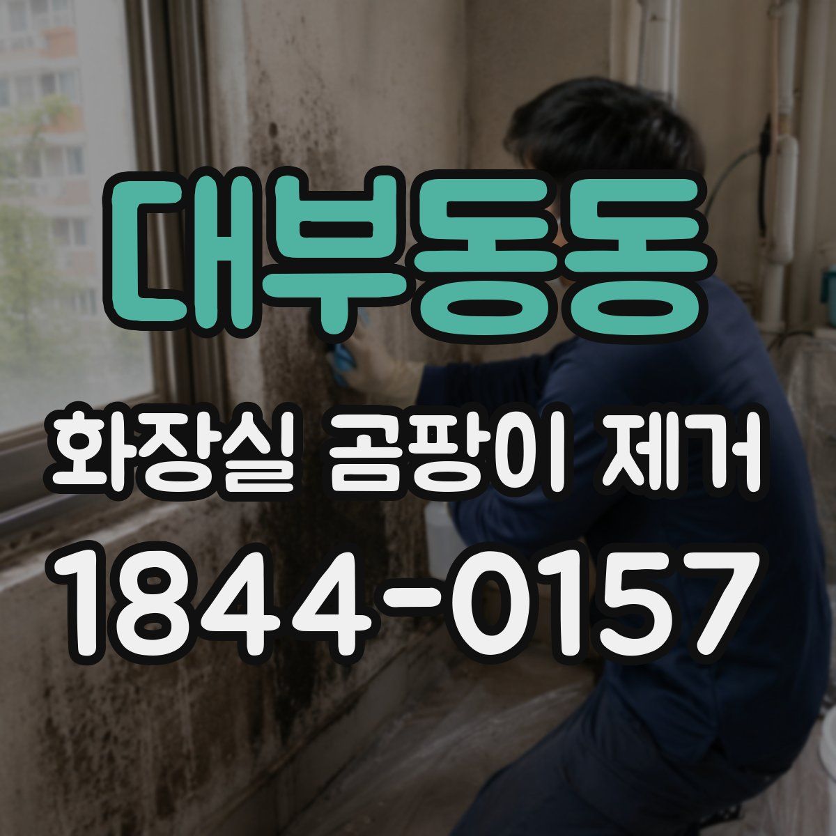 대부동동 화장실 곰팡이 제거