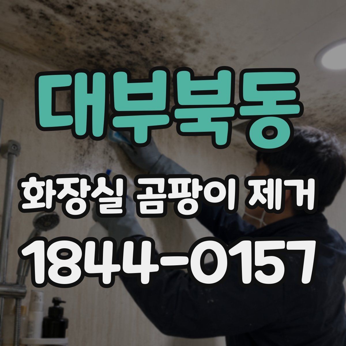 대부북동 화장실 곰팡이 제거 전후로 달라지는 건조 습관