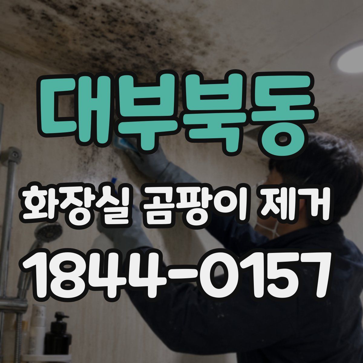대부북동 화장실 곰팡이 제거