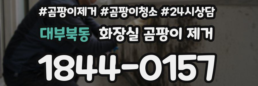 대부북동 화장실 곰팡이 제거