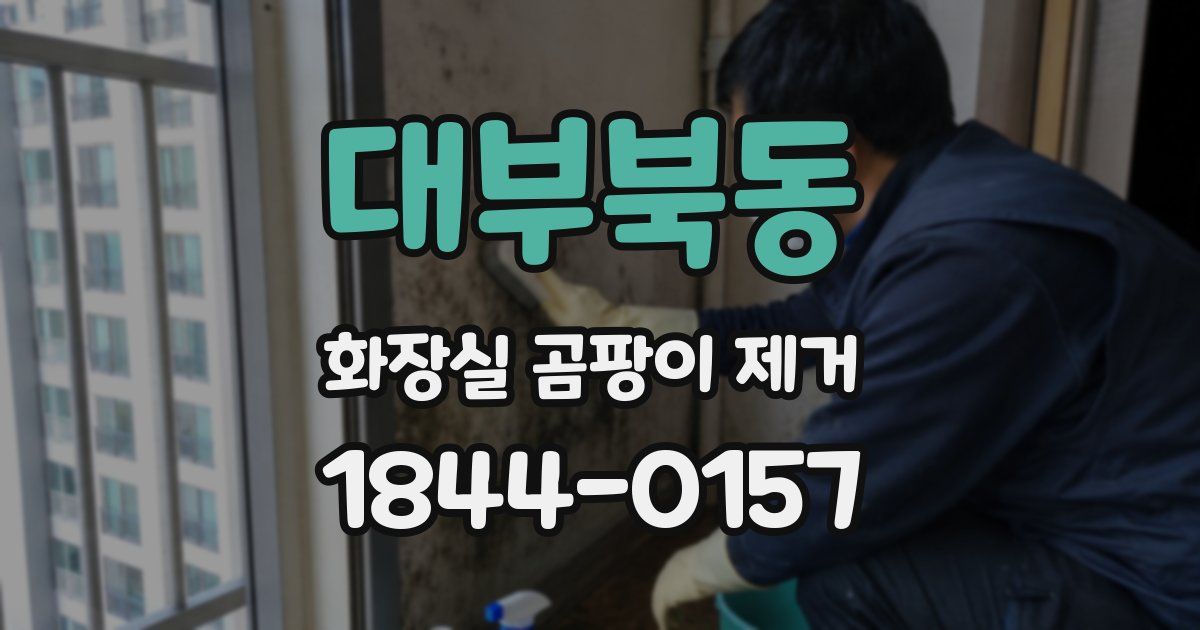 대부북동 화장실 곰팡이 제거
