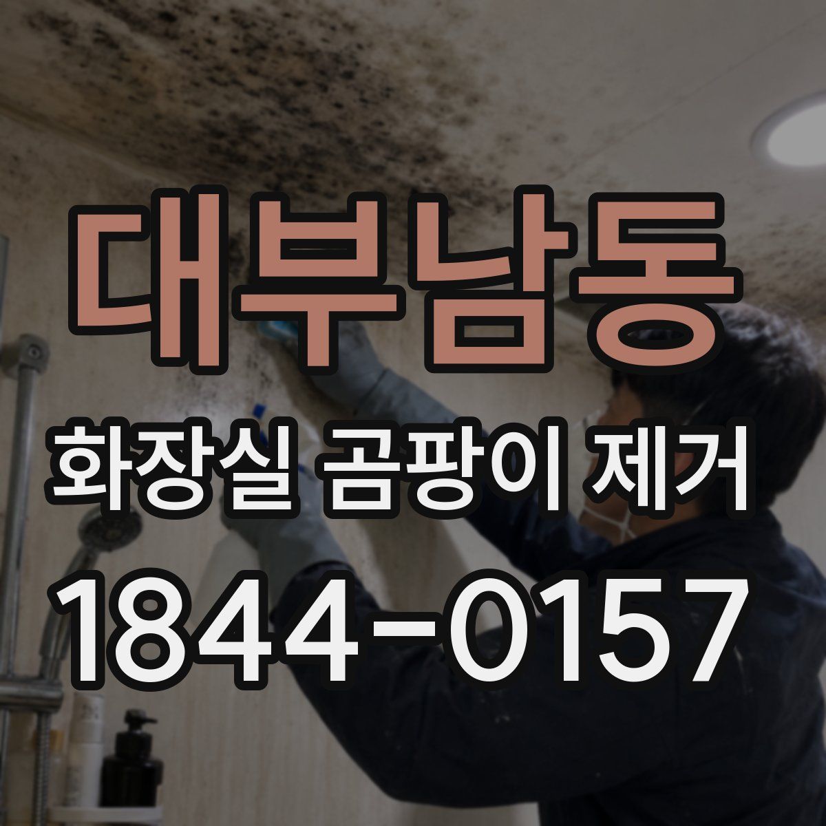 대부남동 화장실 곰팡이 제거