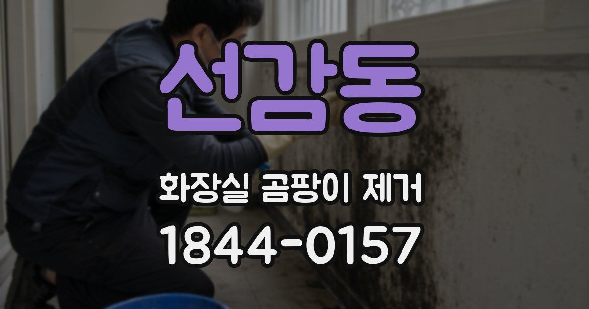 선감동 화장실 곰팡이 제거