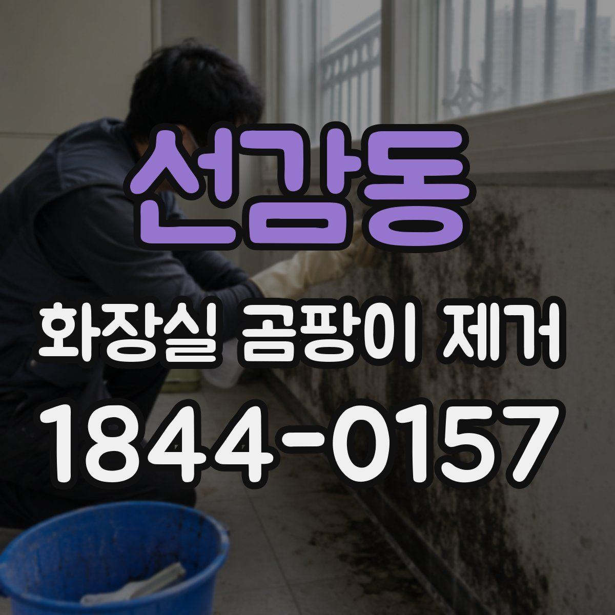 선감동 화장실 곰팡이 제거