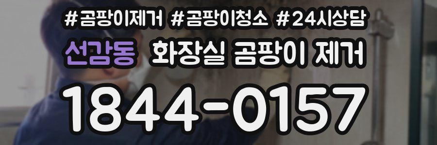 선감동 화장실 곰팡이 제거