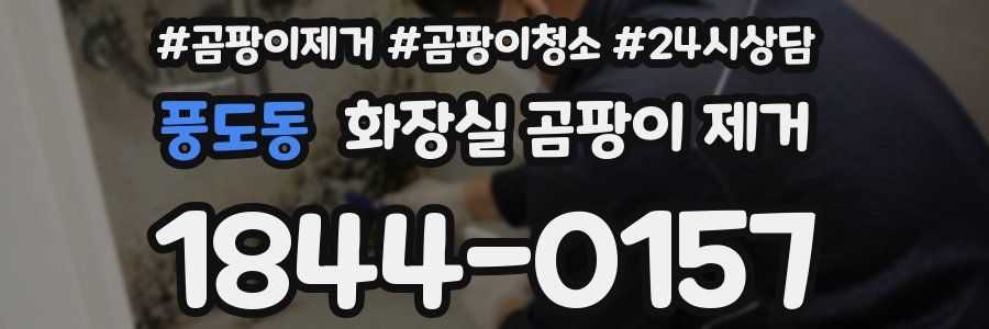 풍도동 화장실 곰팡이 제거
