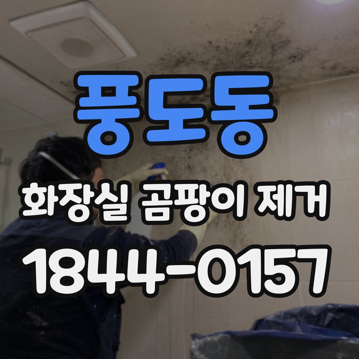 풍도동 화장실 곰팡이 제거