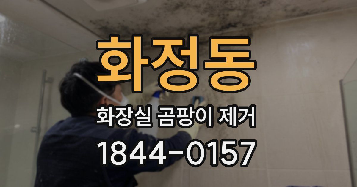 화정동 화장실 곰팡이 제거