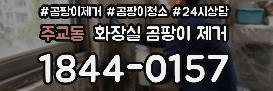 주교동 화장실 곰팡이 제거