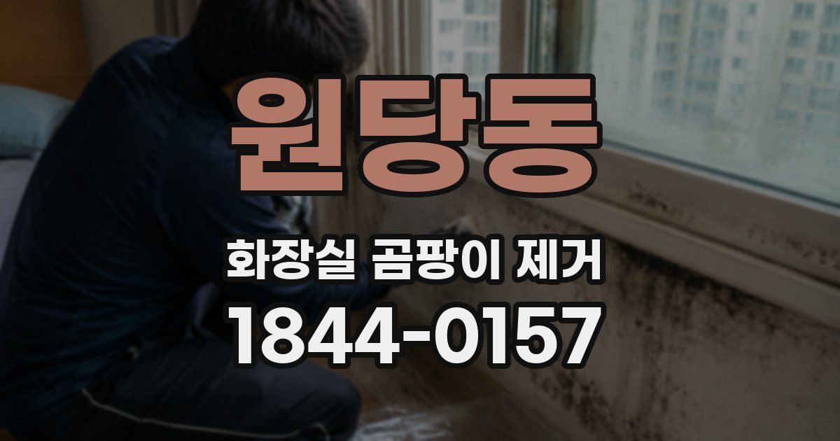 원당동 화장실 곰팡이 제거