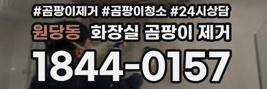 원당동 화장실 곰팡이 제거