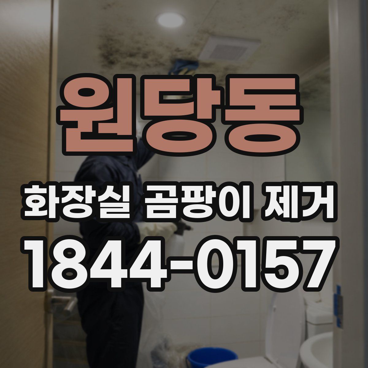 원당동 화장실 곰팡이 제거