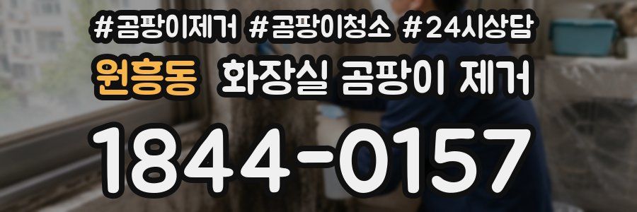 원흥동 화장실 곰팡이 제거
