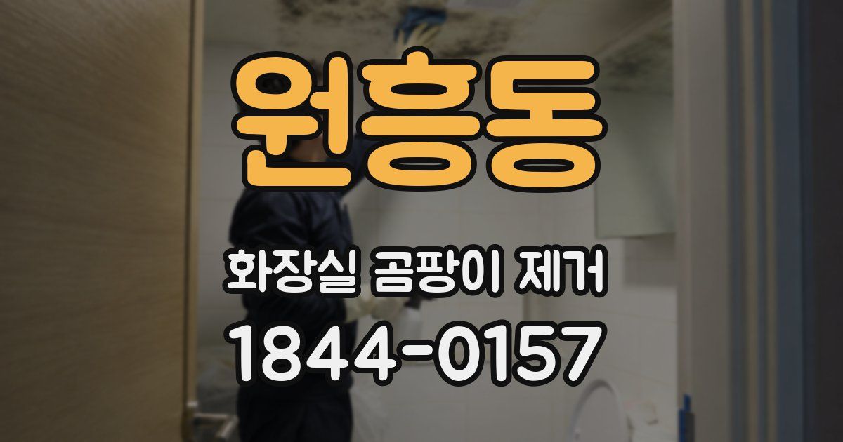 원흥동 화장실 곰팡이 제거