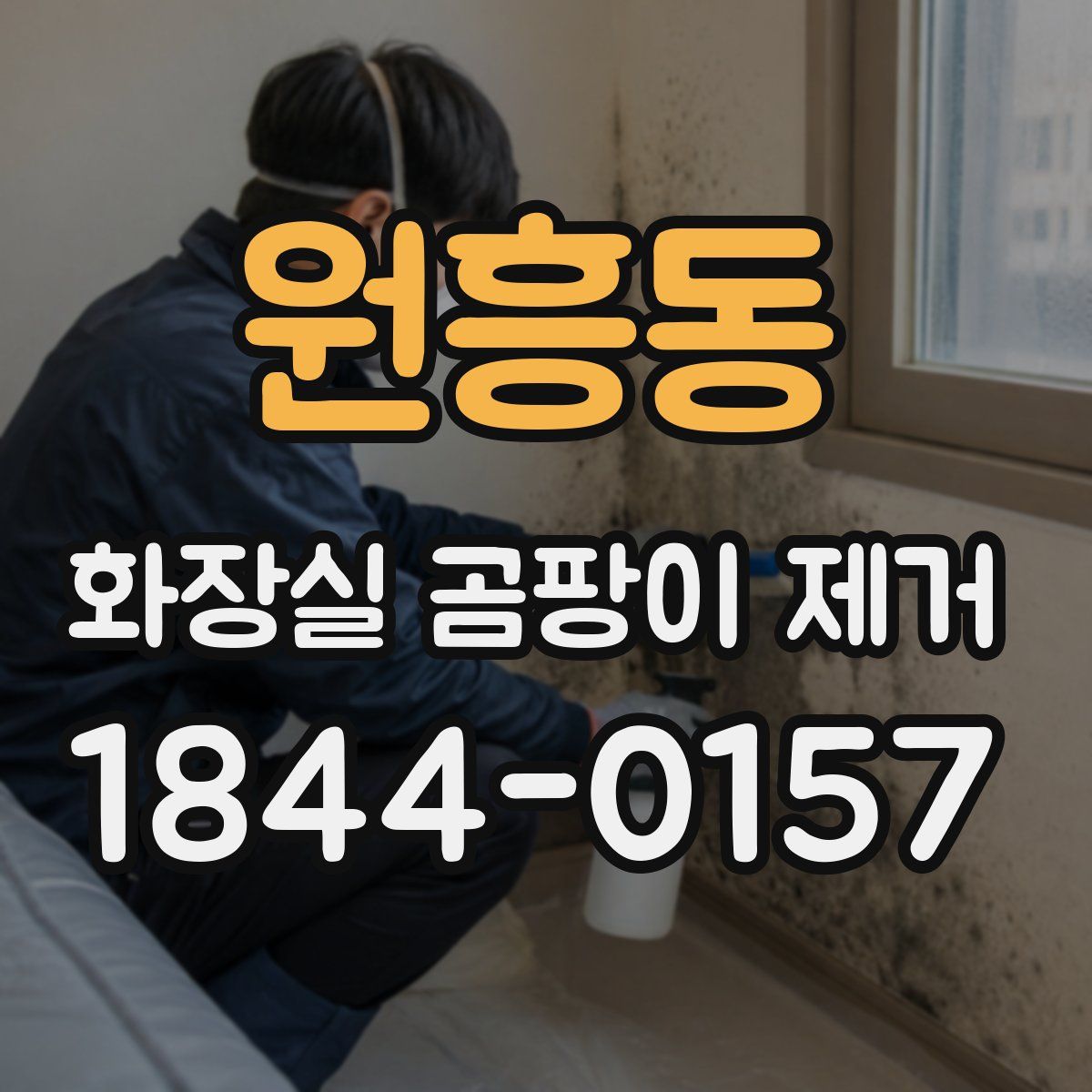 원흥동 화장실 곰팡이 제거