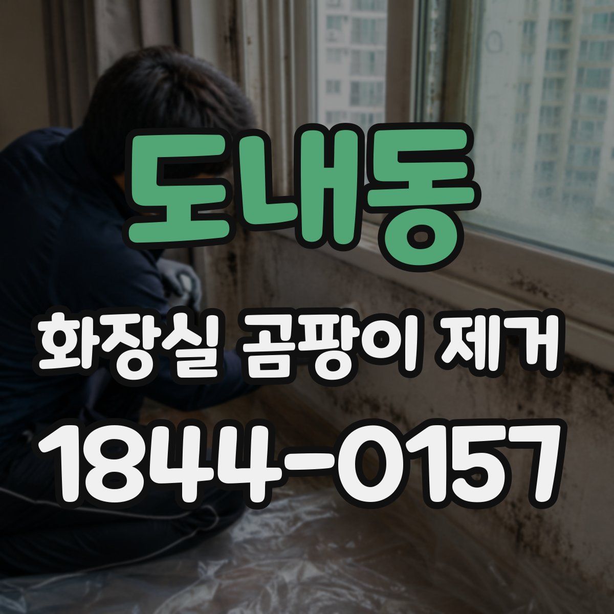 도내동 화장실 곰팡이 제거
