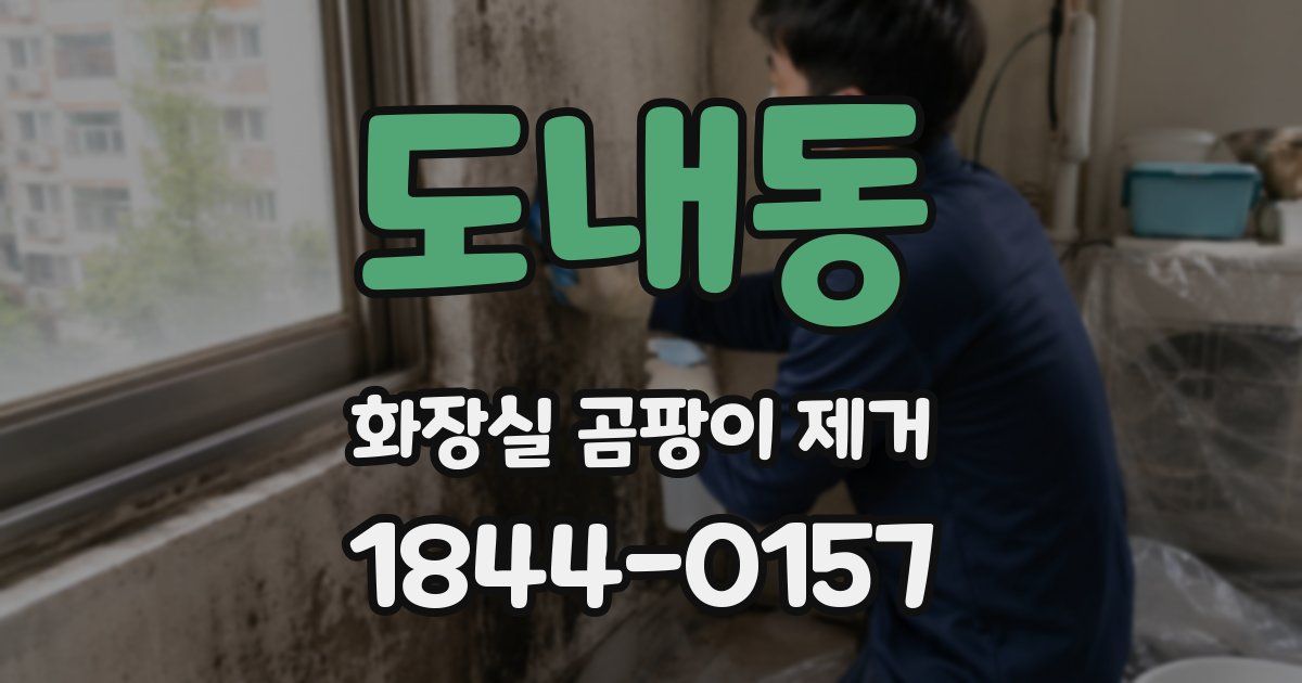 도내동 화장실 곰팡이 제거